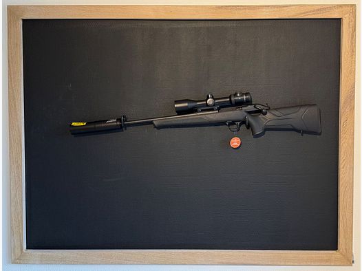 Komplettangebot: Blaser R8 Kal. 8x57IS mit Zeiss V8 und Hausken JD224 XTRM - NEU