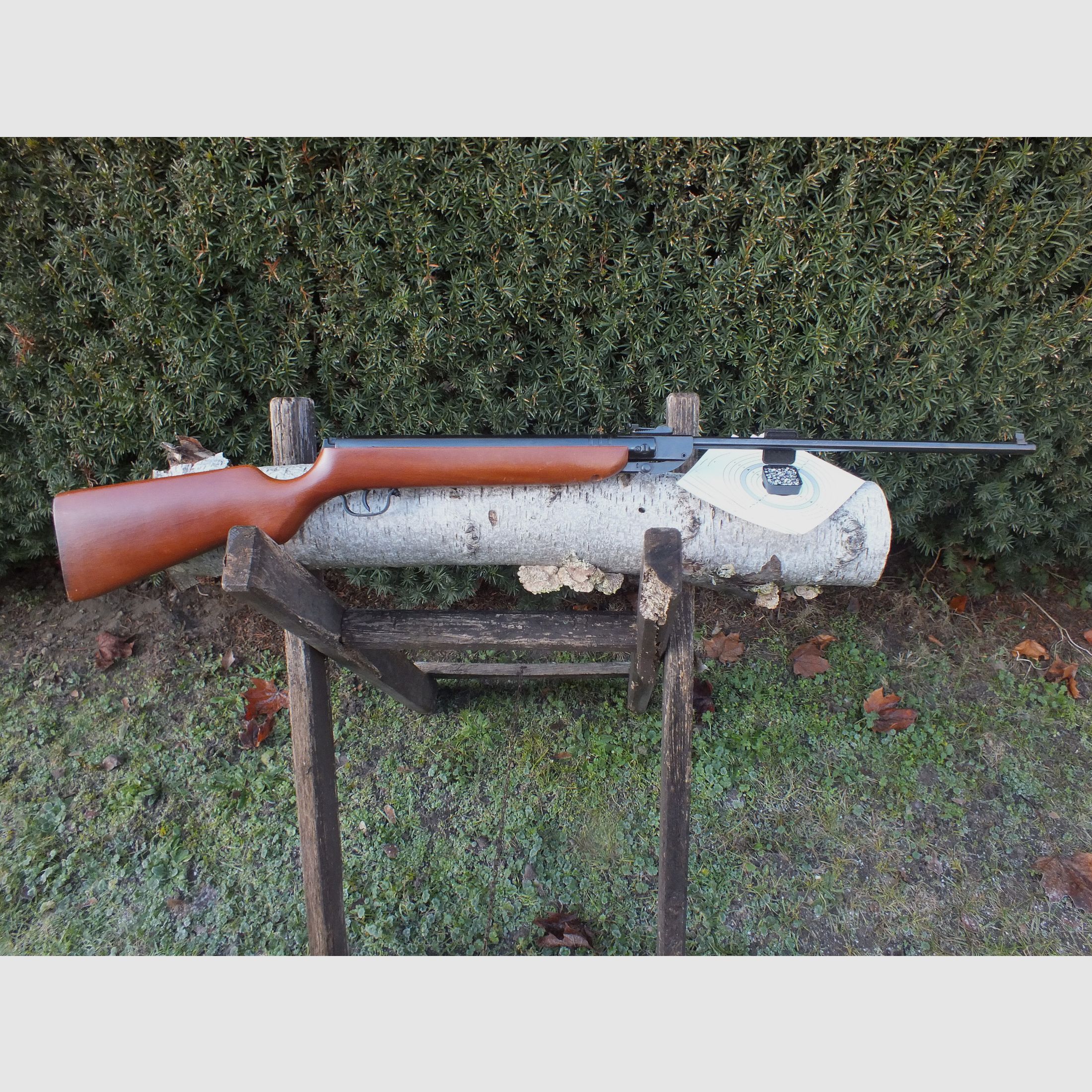 Fucile ad aria compressa Suhler Haenel 303