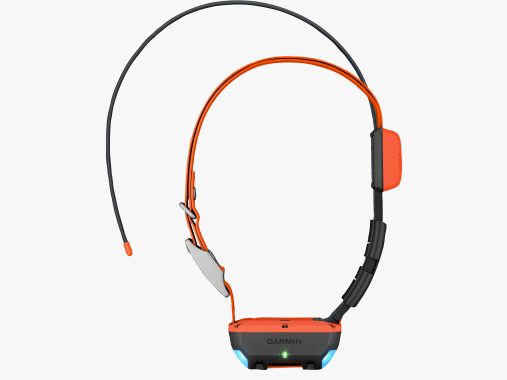 Garmin Hundehalsband (GPS) ALPHA® T 20 K |