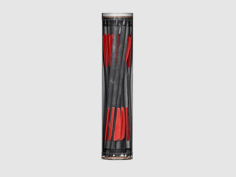 EK Archery Cobra R9 Deluxe Pack + 10 Carbon-Bolzen NEU 