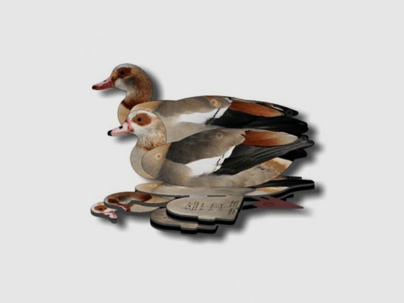FUD Nilgans