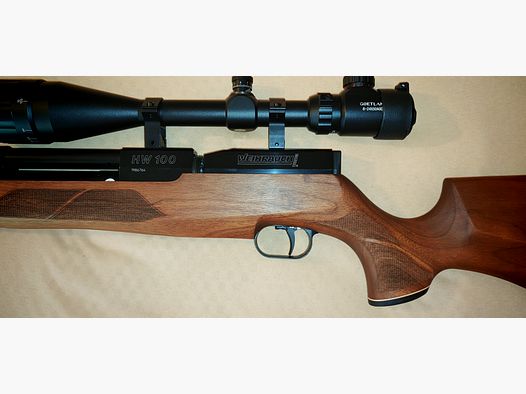 HW 100 FSB  BESTZUSTAND