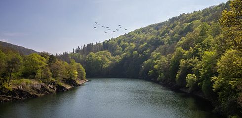 Jagdzeiten Rheinland-Pfalz