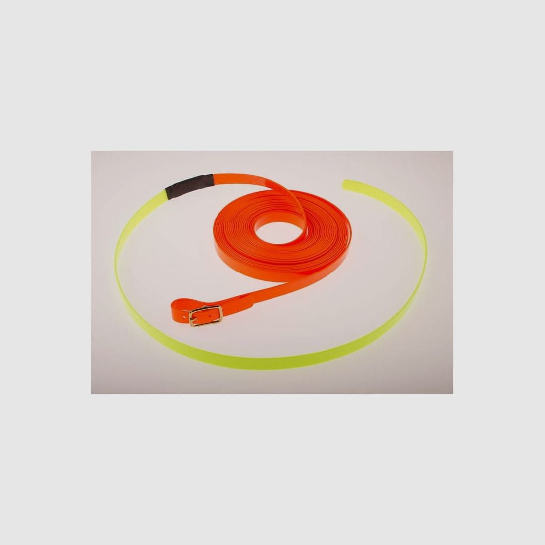 Rüdemeister - Schweißriemen Biothane 25 mm