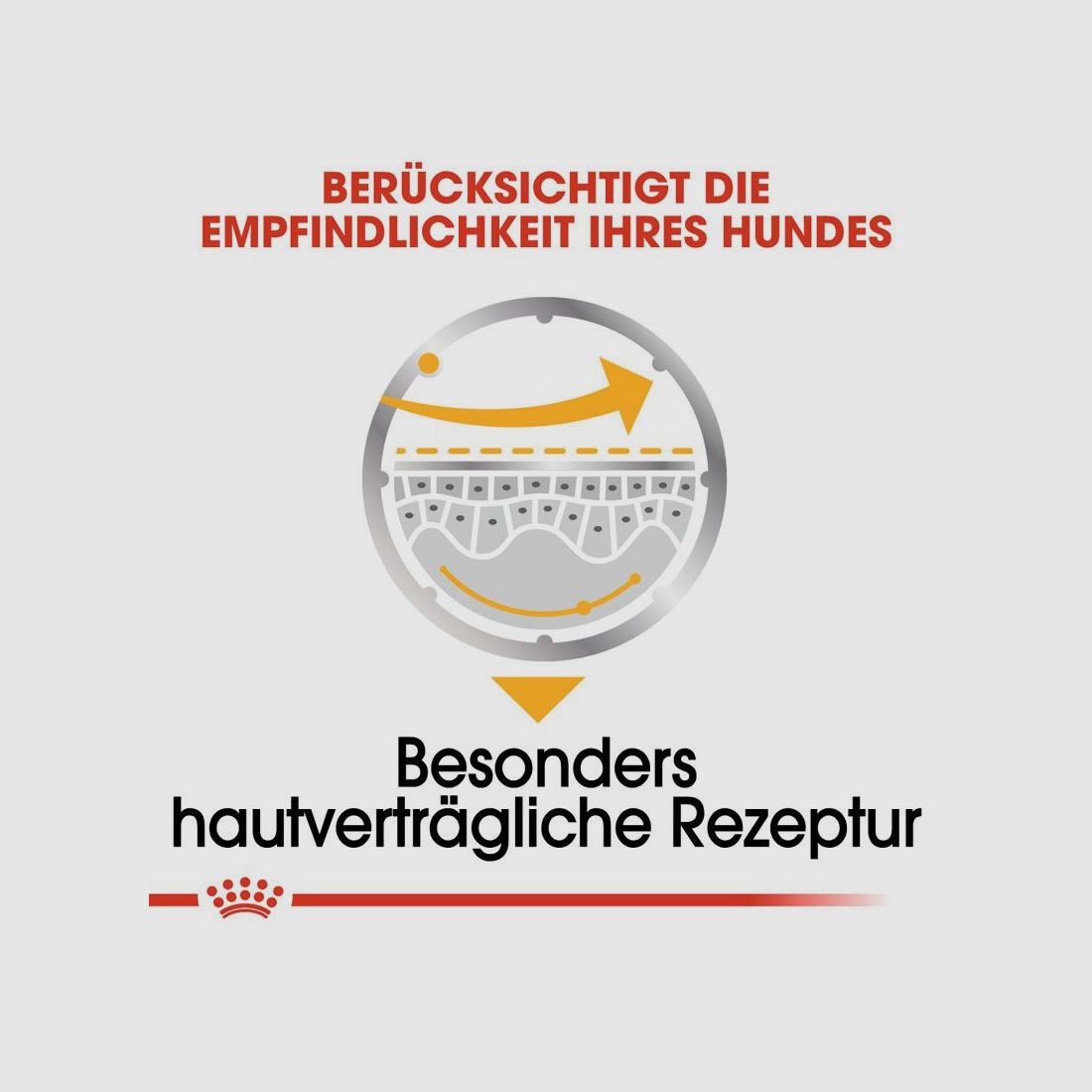 ROYAL CANIN Nassfutter Dermacomfort für empfindliche Haut 12x85 g