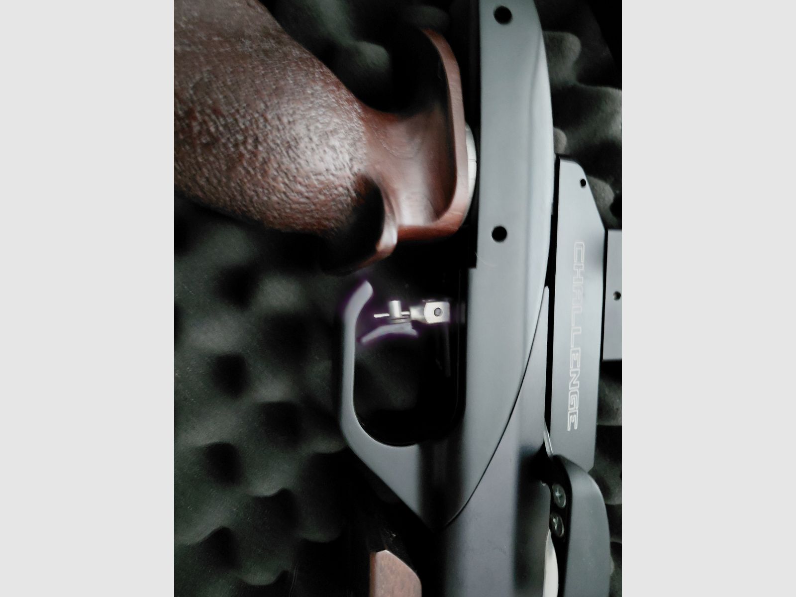 Steyer Challenge Sport LG