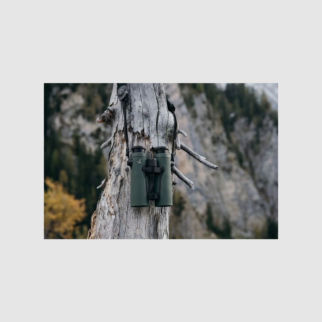 Swarovski Fernglas EL Range 10x42 TA