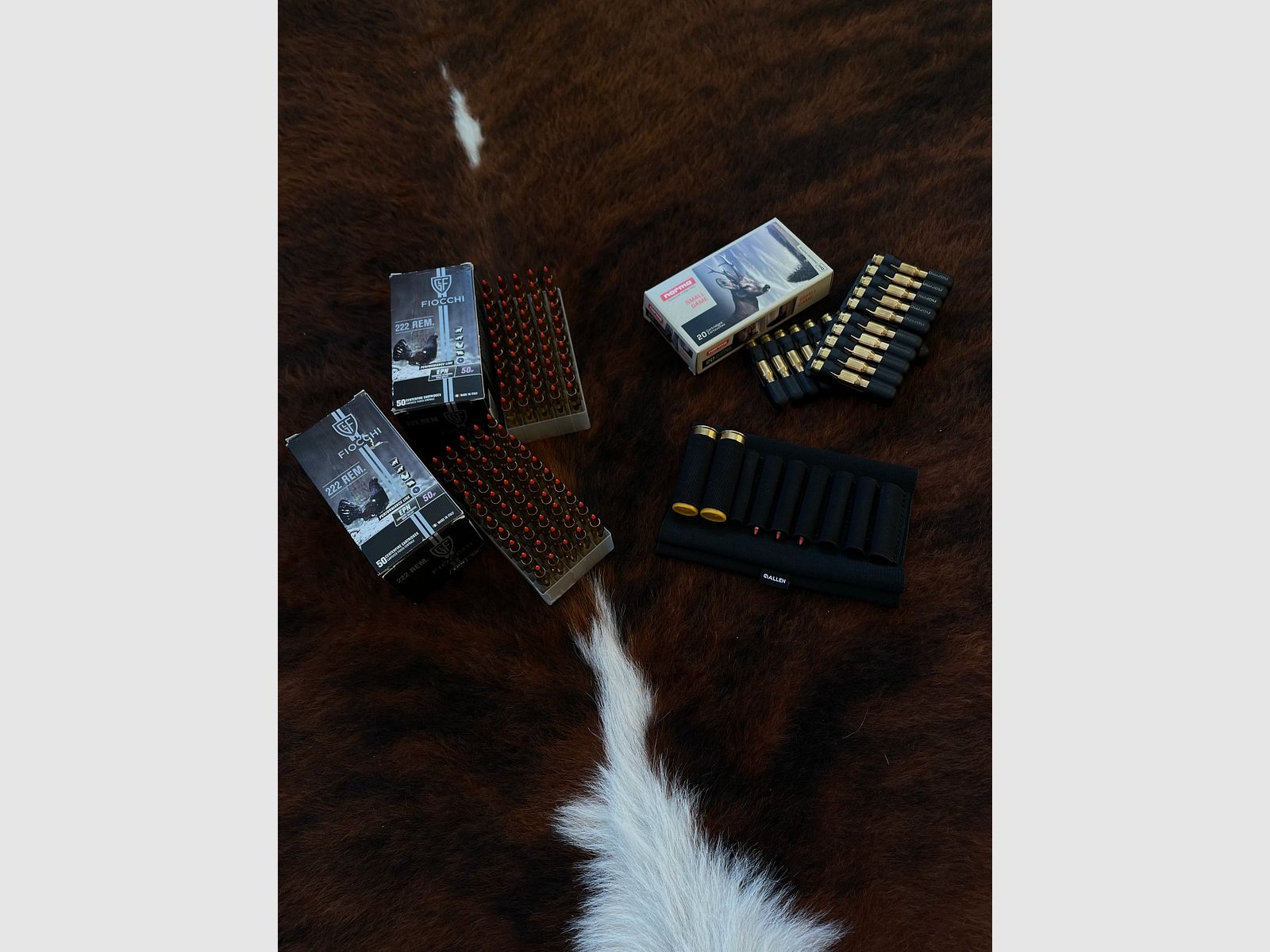 Savage Arms Bockbüchsflinte | .222 Rem / Komplettpaket inkl. Munition