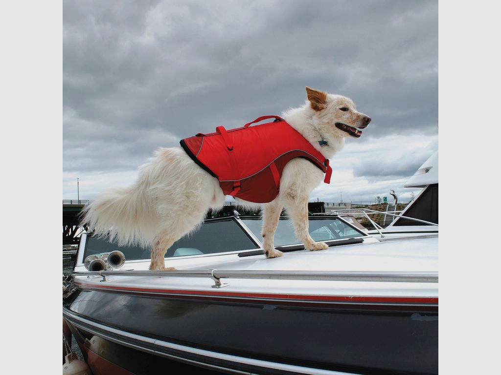 Schwimmweste Kurgo Surf N Turf™, Bild 12 von 18