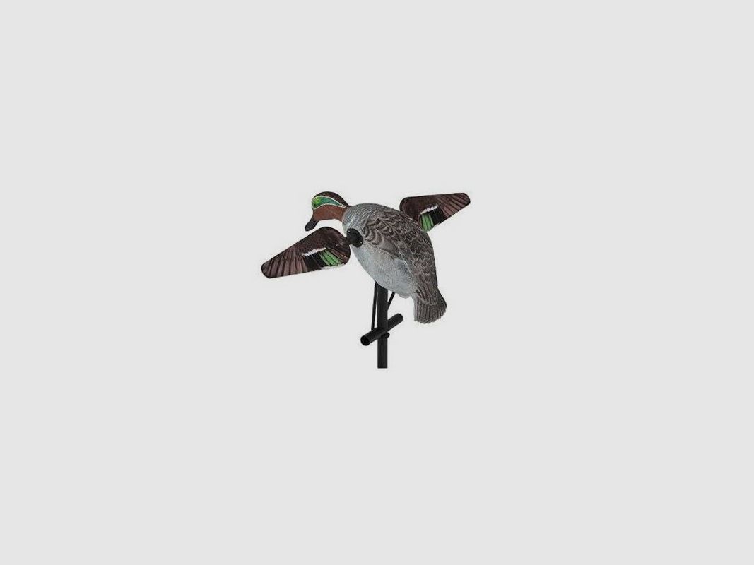 Alzavola mit rotierenden Flügeln Lucky Duck Teal HD