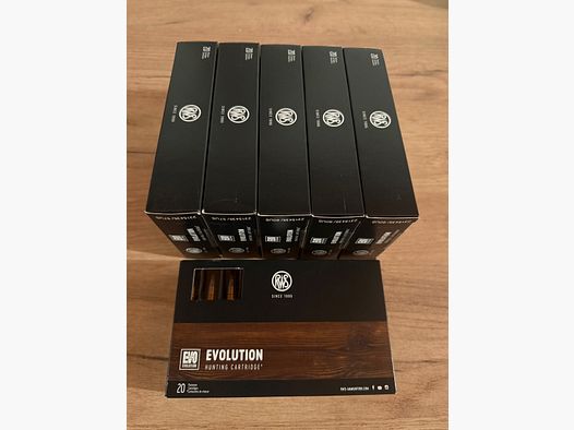 Munition RWS EVOLUTION .30-06 11,9g