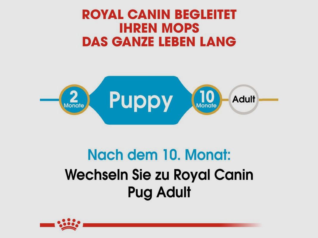 ROYAL CANIN Mops Trockenfutter Adult 3 Kg