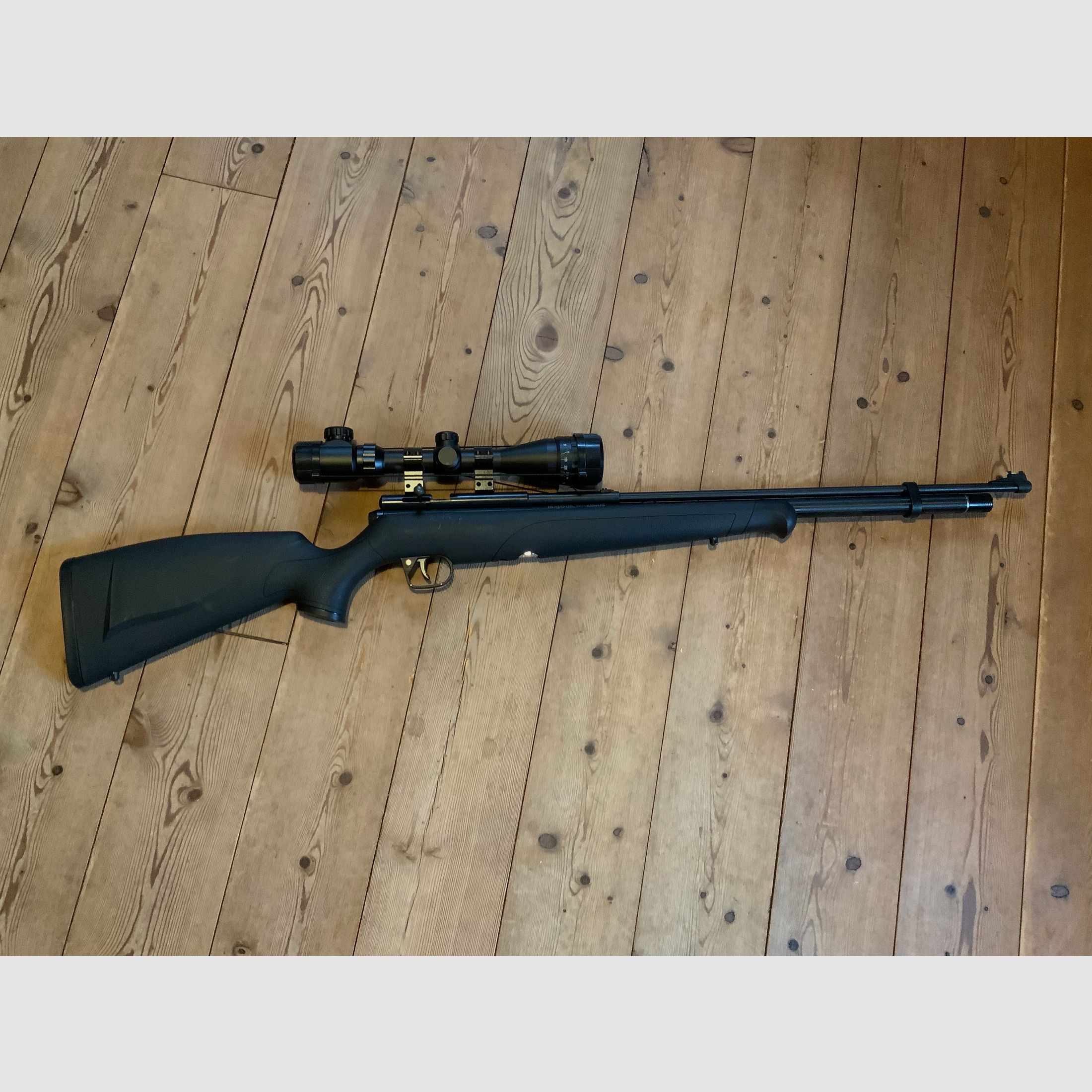 Fucile ad aria compressa Crosman Benjamin Maximus / Fucile ad aria