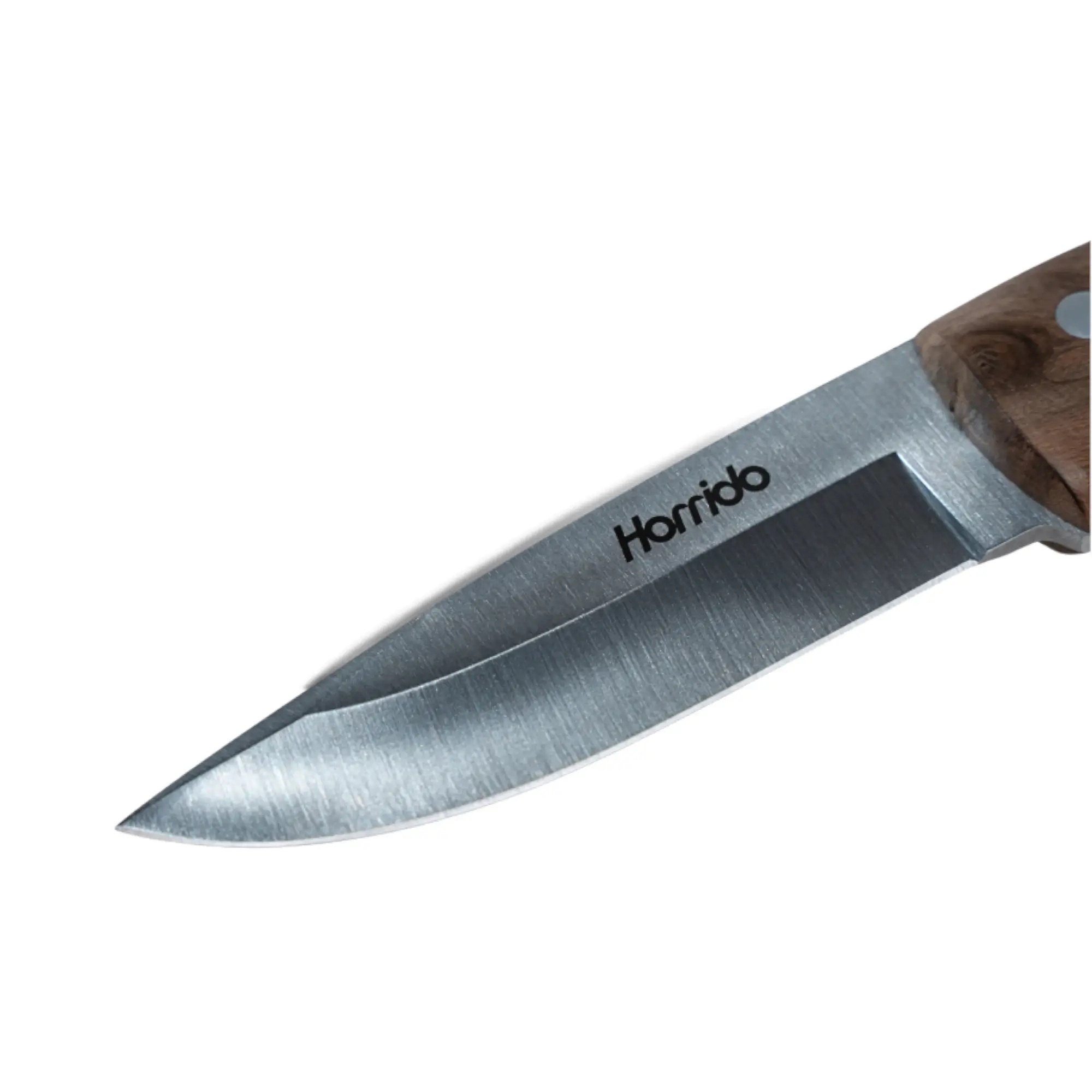 Horrido Ciervo Cuchillo de caza, imagen 4 de 9