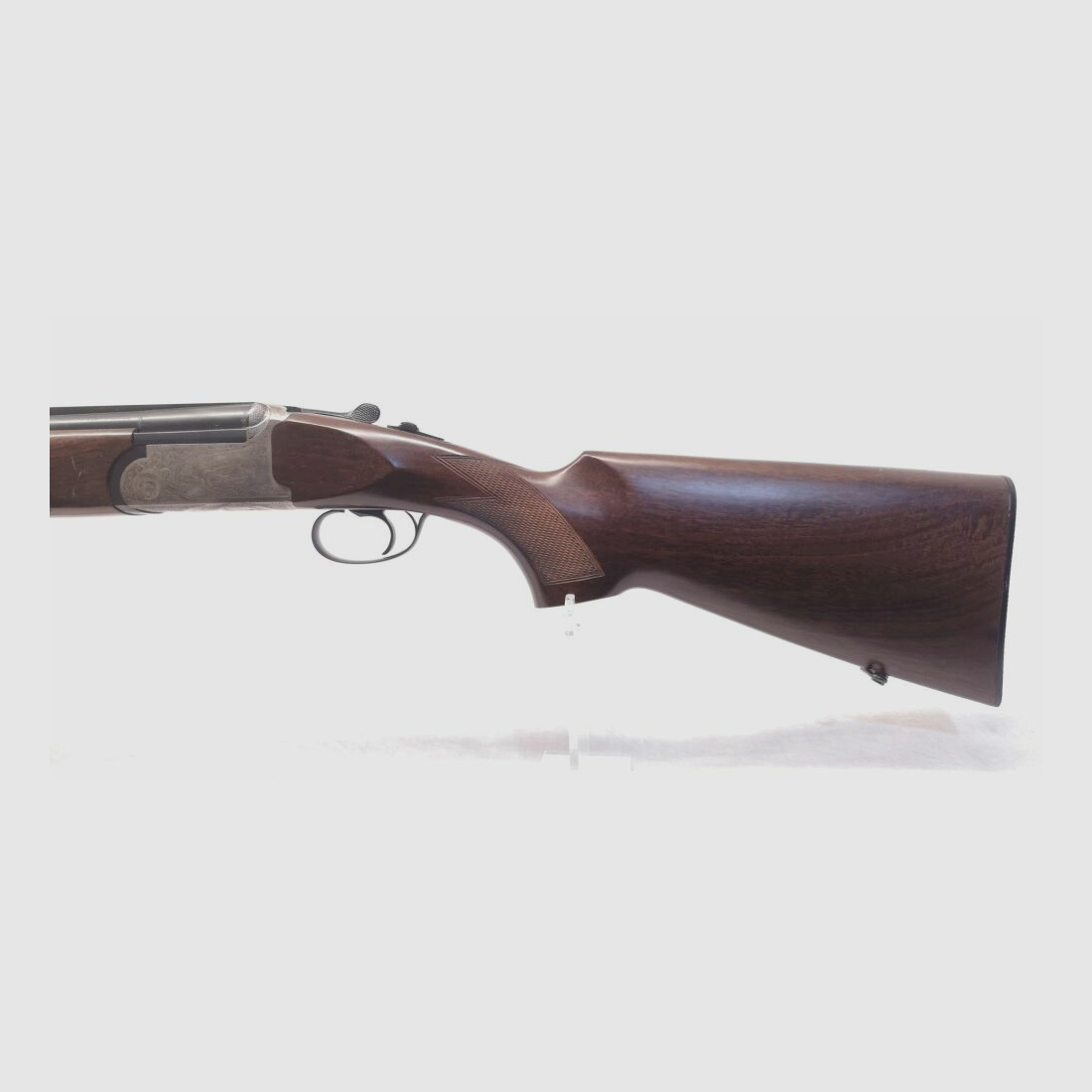 Rizzini AT 605