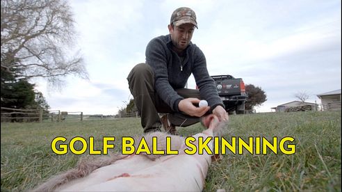 Skinning a Deer with a Golf Ball and an Amarok