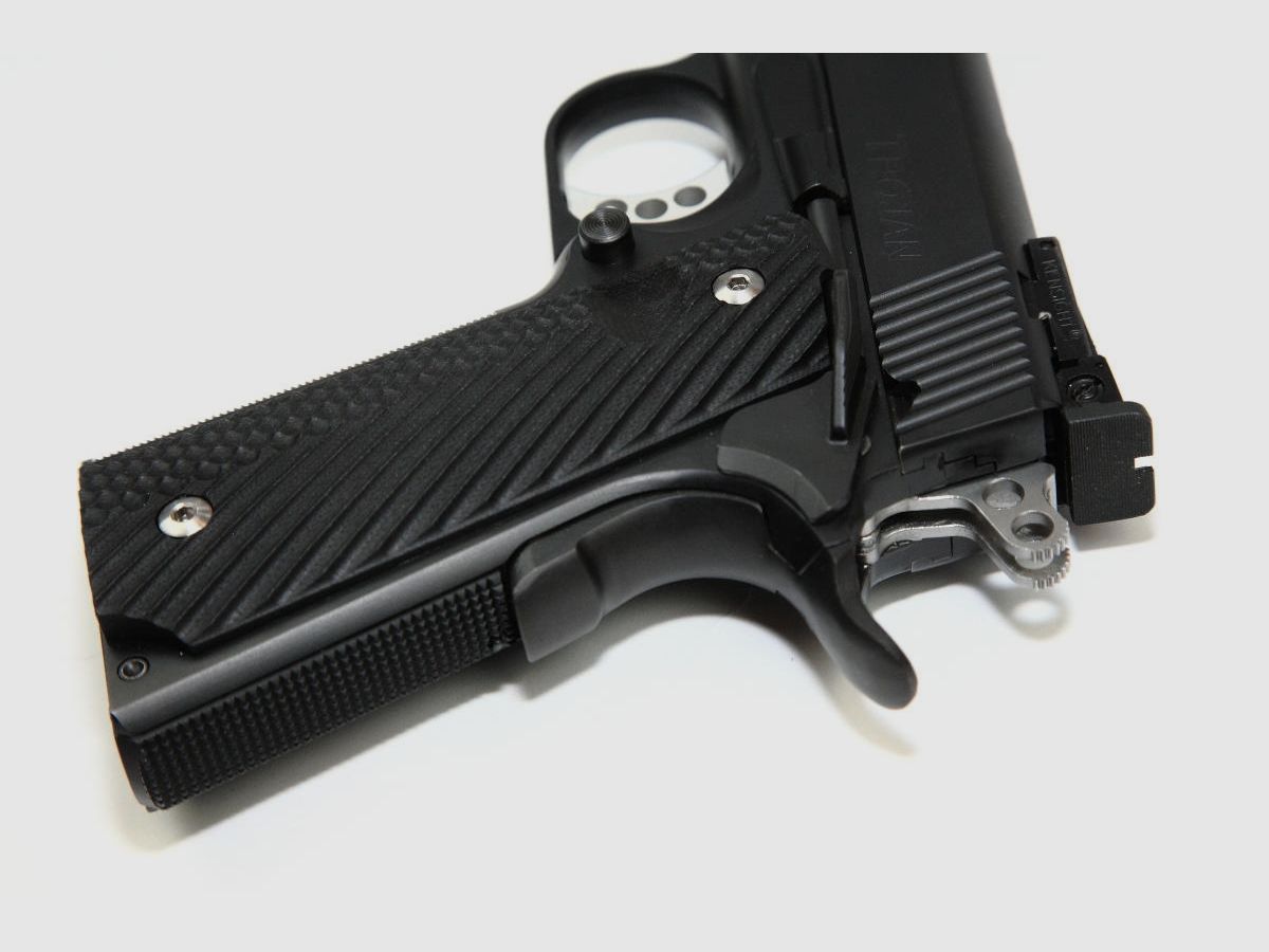 STP 1911 Trojan 45ACP, Bild 6 von 8