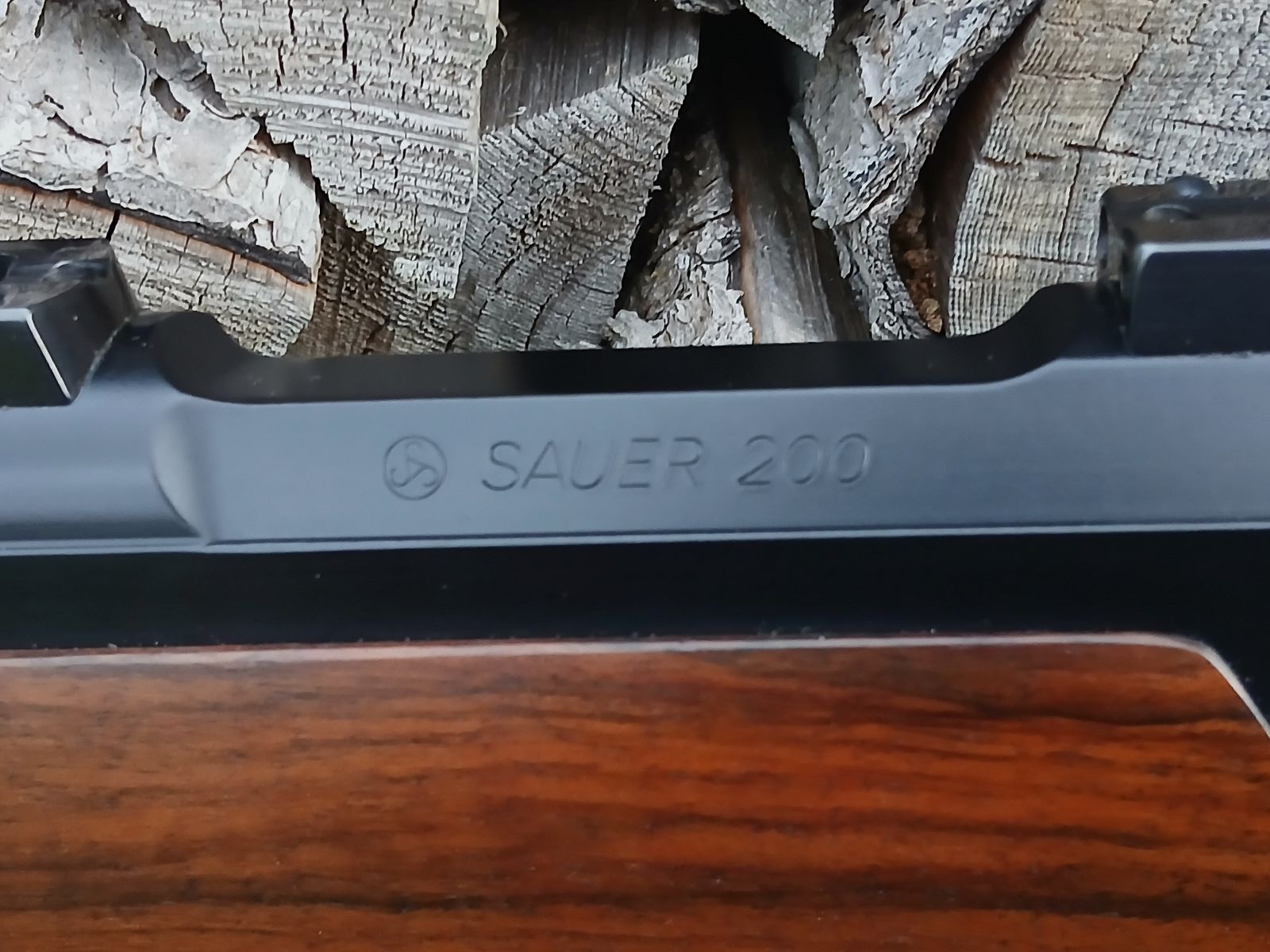 Sauer 200