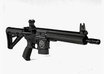 Bavarian Tactical Systems BTS15 9 mm Luger, SPORT 10"