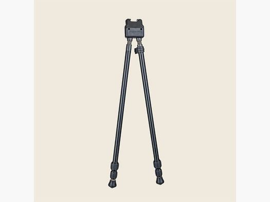 Swagger Stalker QD42