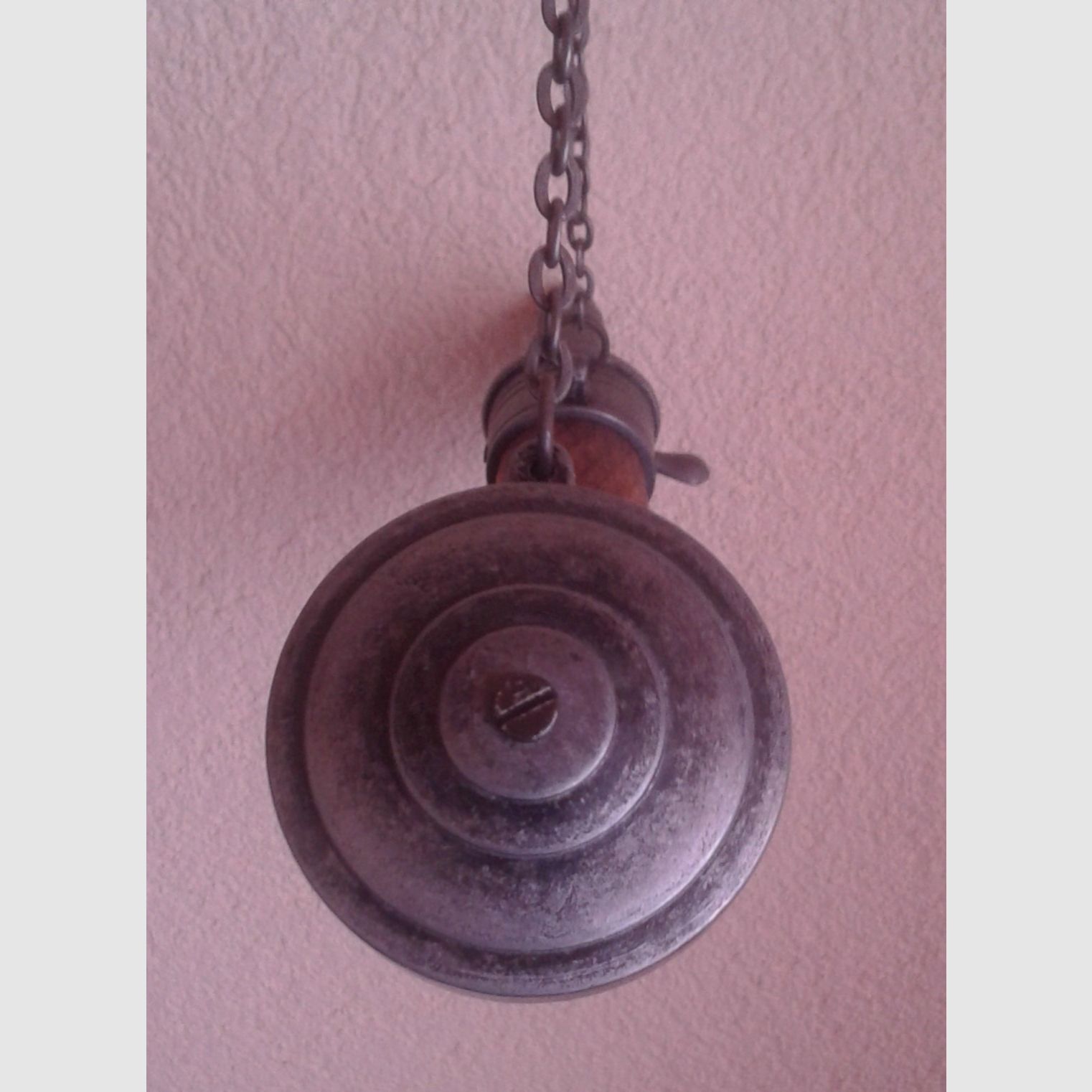 2 cuernos decorativos en polvo -también adecuados para colgar