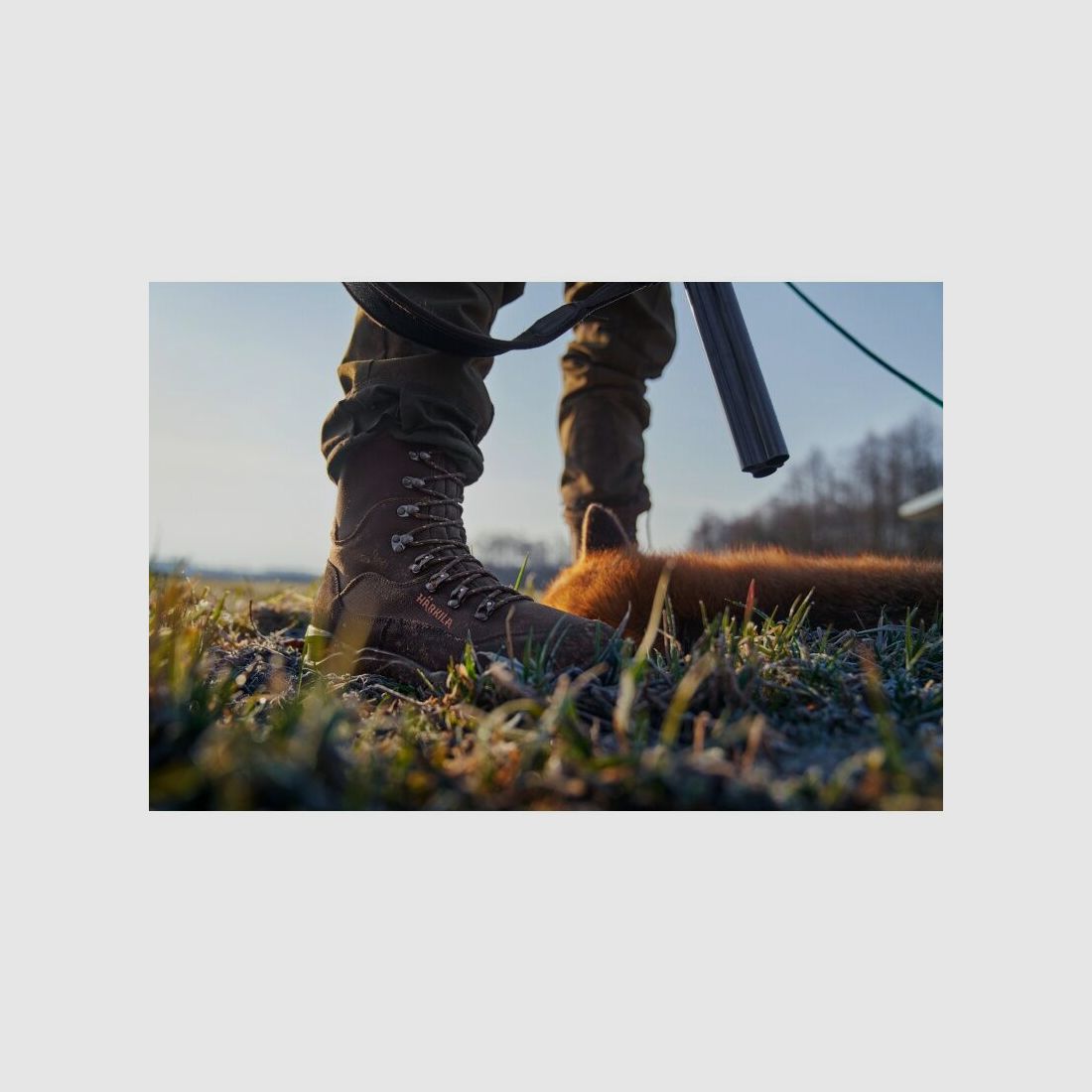 Härkila Herren Stiefel Pro Hunter Light Hi GTX Shadow brown