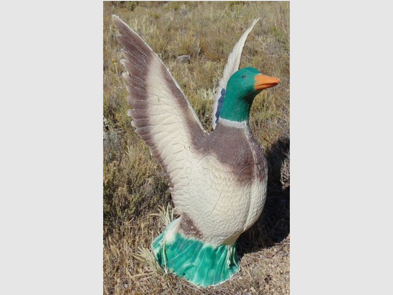 IBB 3D Ente abstreichend
