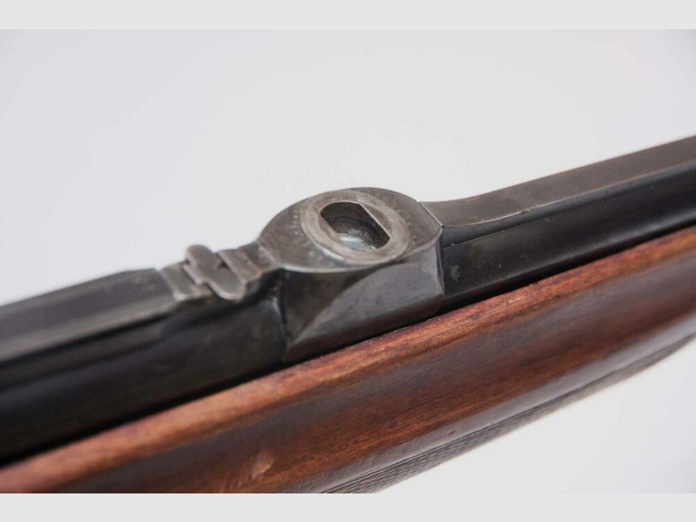 Sabatti Schwenkmontage