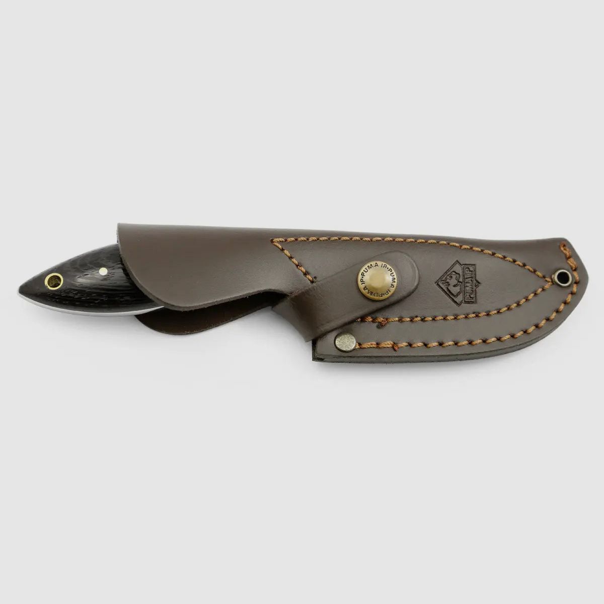 PUMA IP farkas, Wengeholz