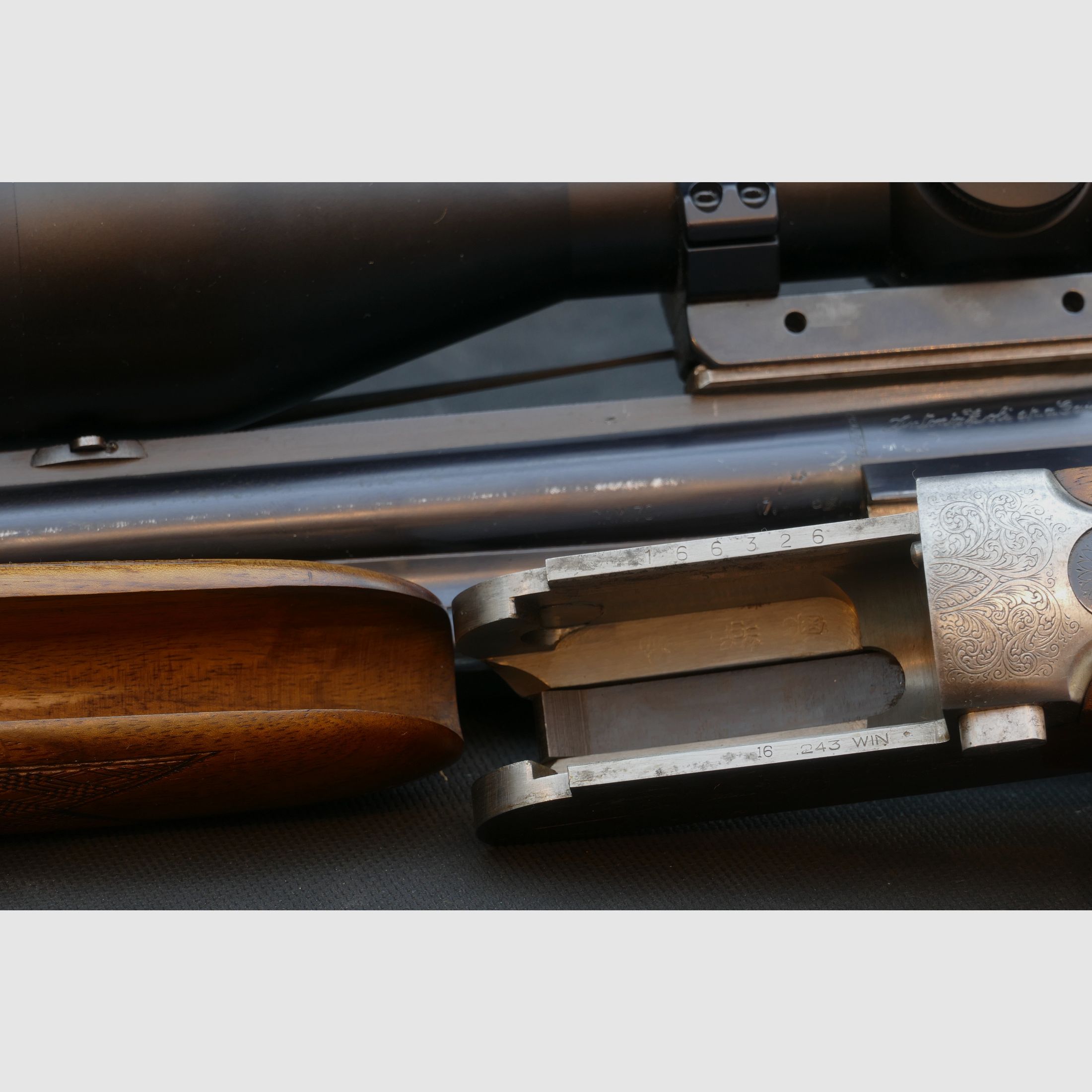 Antonio Zoli BBF in .243Win und 16/70