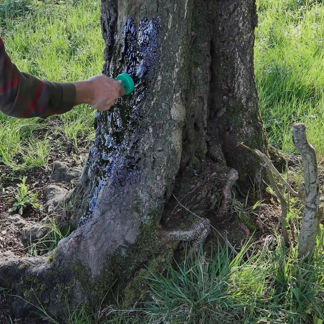 Eurohunt Buchenholzteer im Kanister