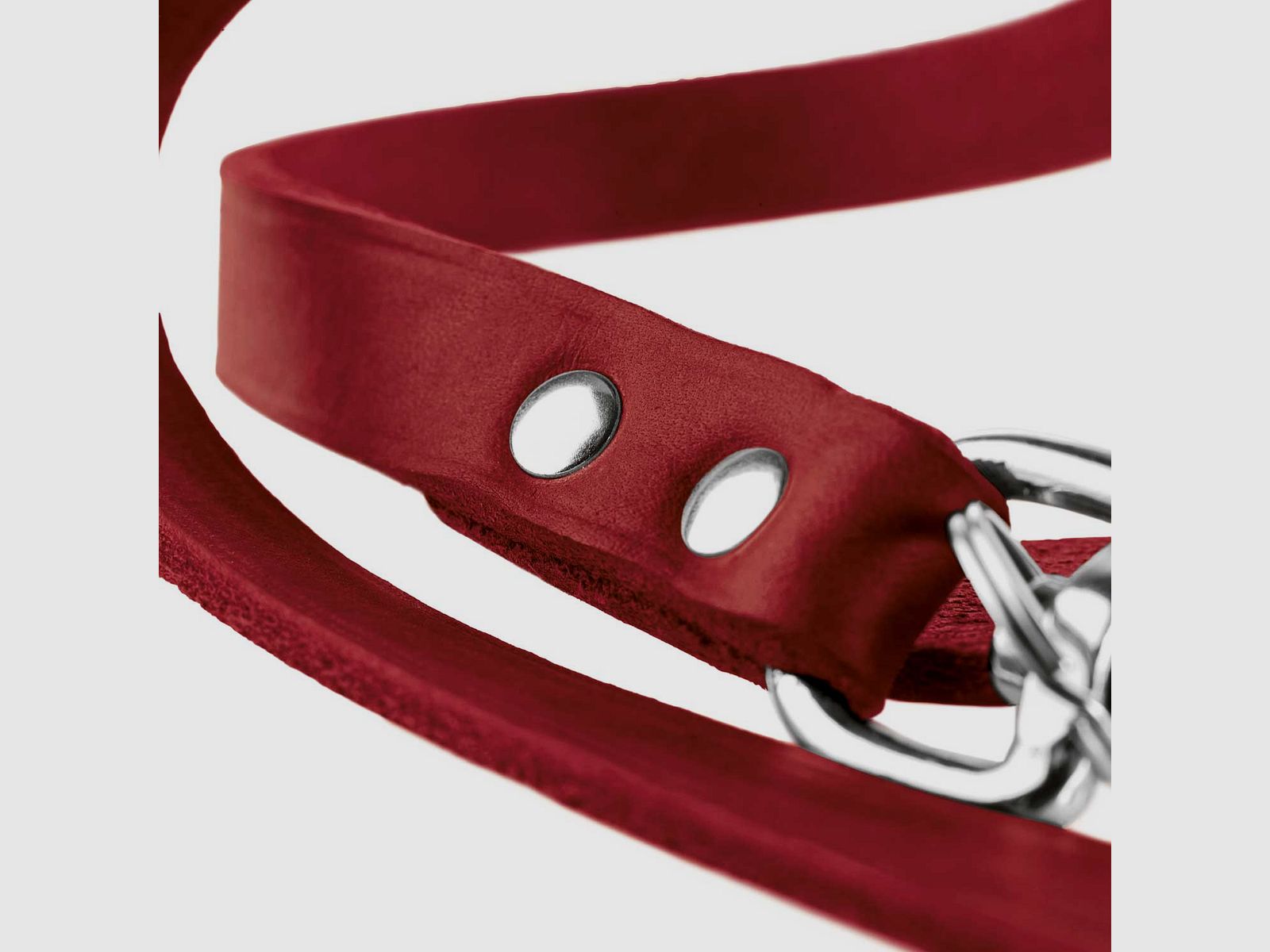 Hunter adjustable dog leash leather