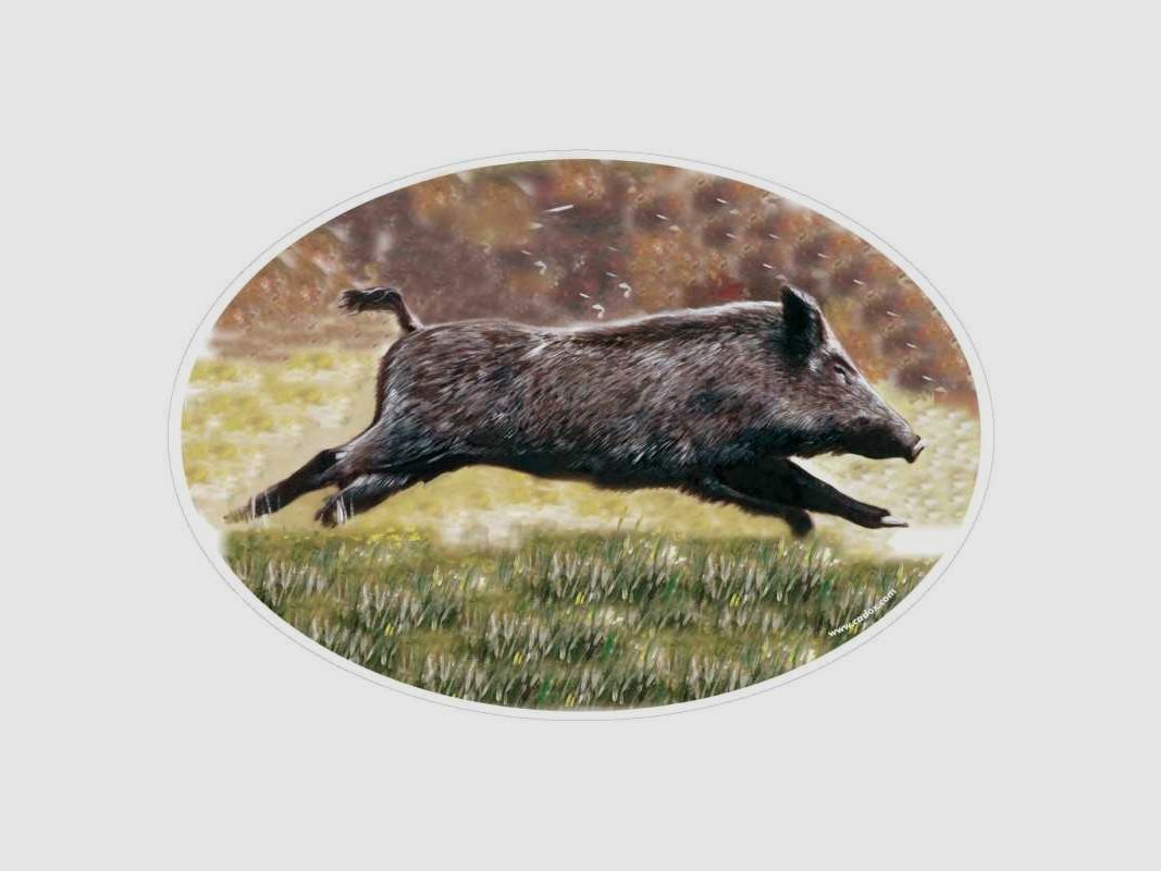 Adesivi animali - Cinghiale, immagine 3 di 3