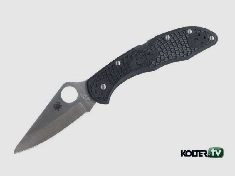 Spyderco C11PBK Delica mes met glad lemmet