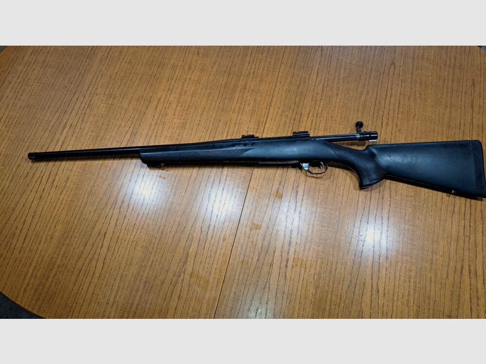 HOWA 1500
