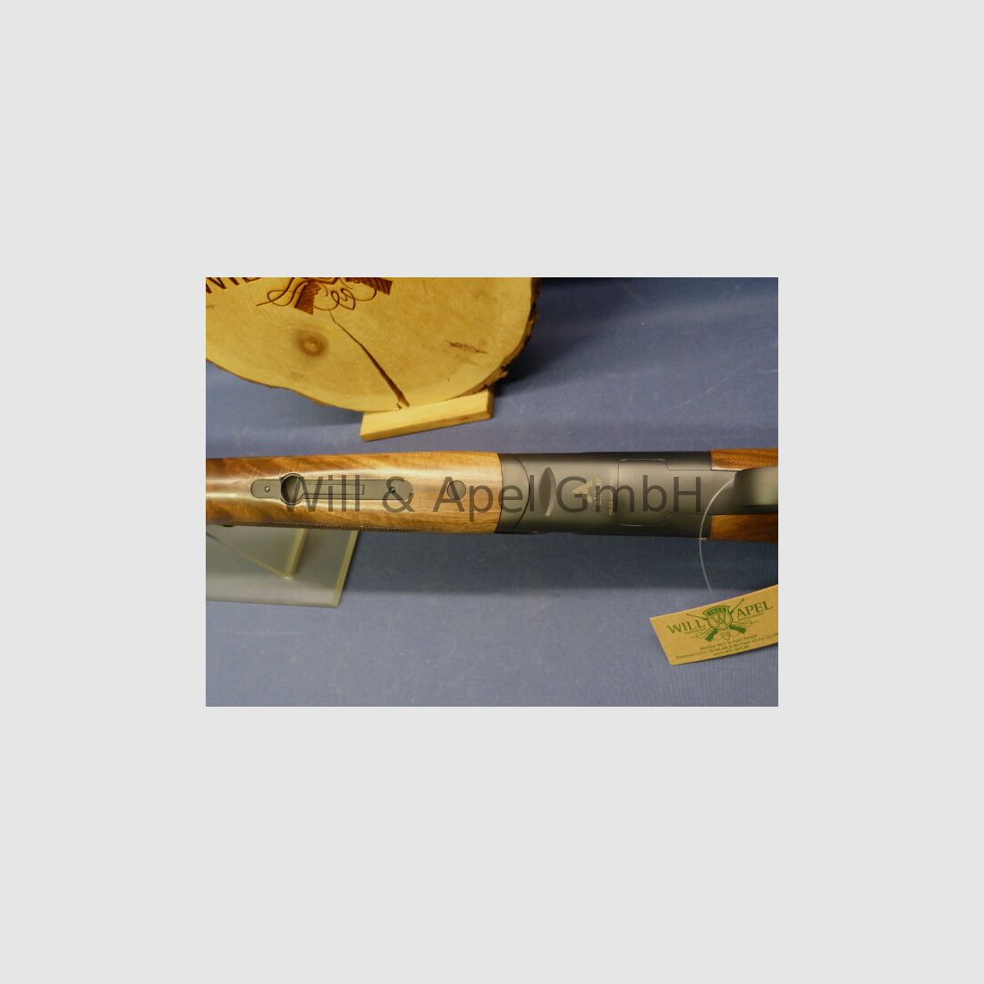 Akkar Churchill Lady Black