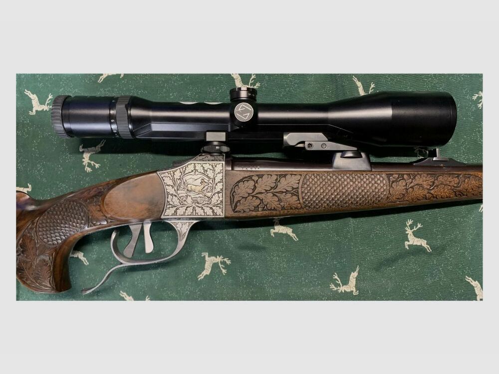 J. Hensel Blokbuks 2,5 - 10 x 48 Zeiss Diatal -ZM Abs. 4 - 7x65R