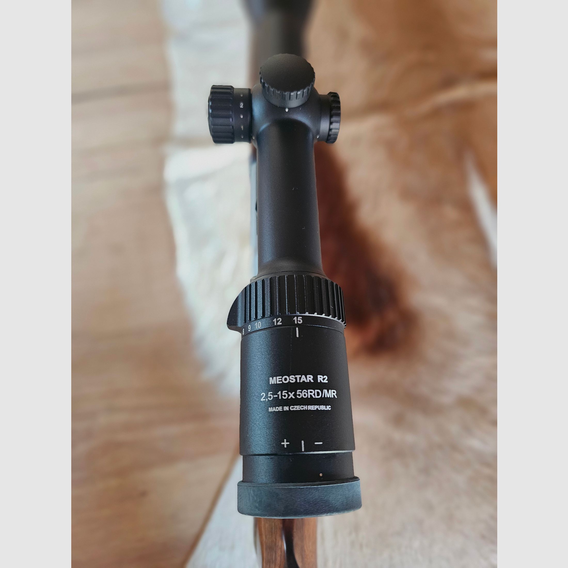 Blaser Bergstutzen BS 95 Luxus ! + Munition