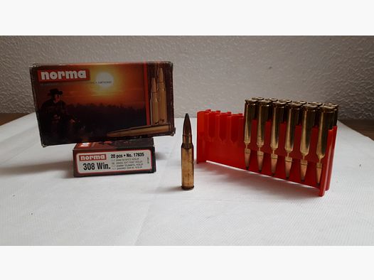 NORMA TM NOSLER 308 WIN 11,7g