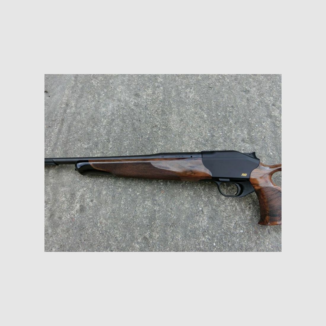 Blaser	 R8 Success