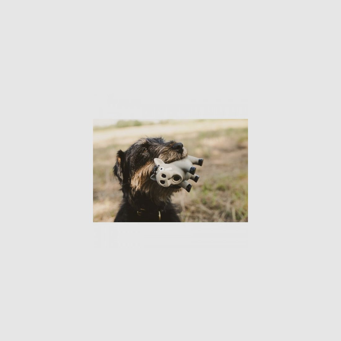 Farm-Land Cochon en Latex, image 4 sur 7