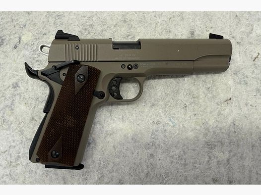 GSG 1911 .22lr