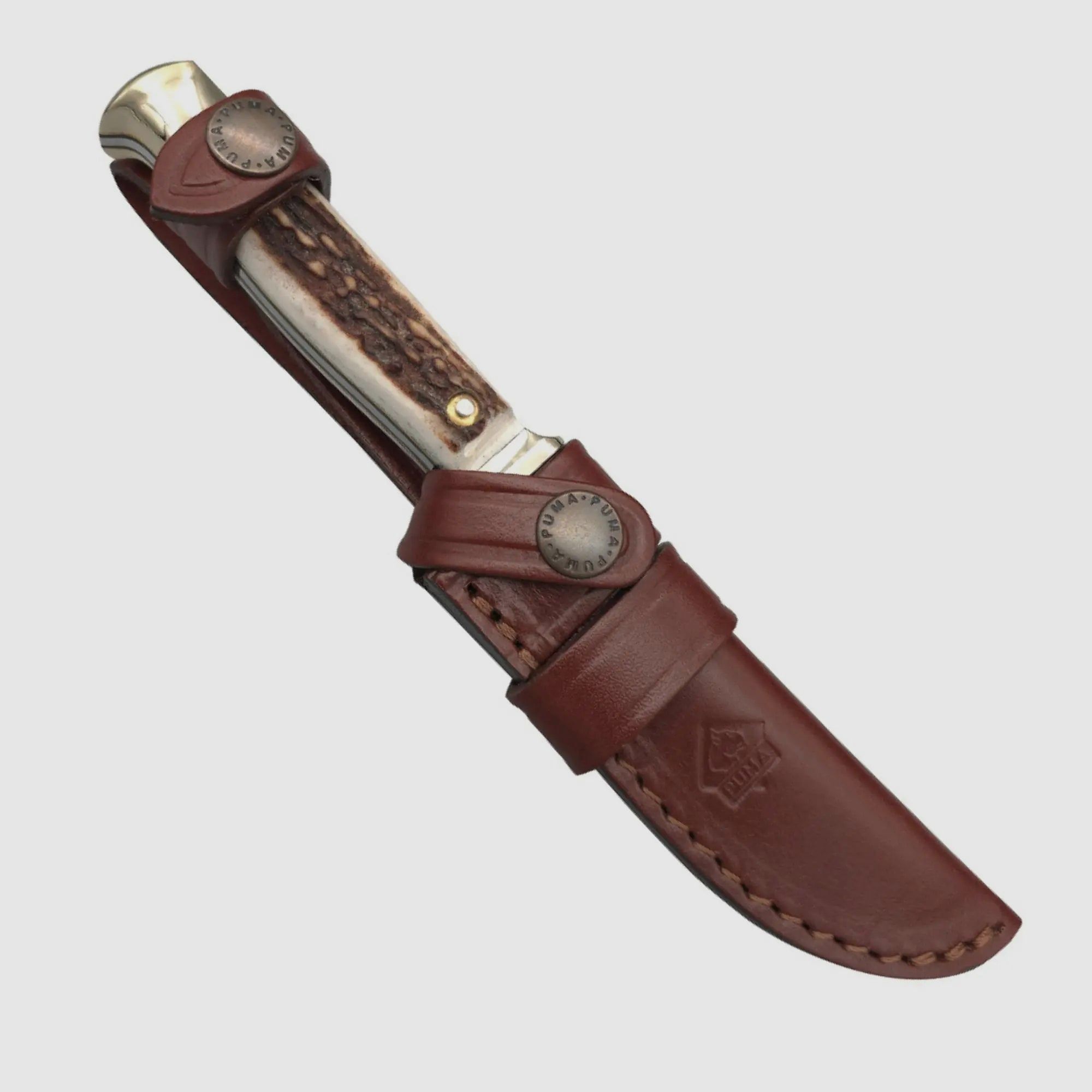 Couteau de chasse PUMA, édition FAOS "Cerf"