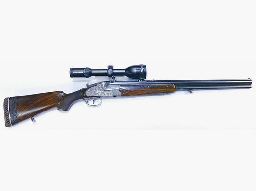 Merkel used weapon model 313