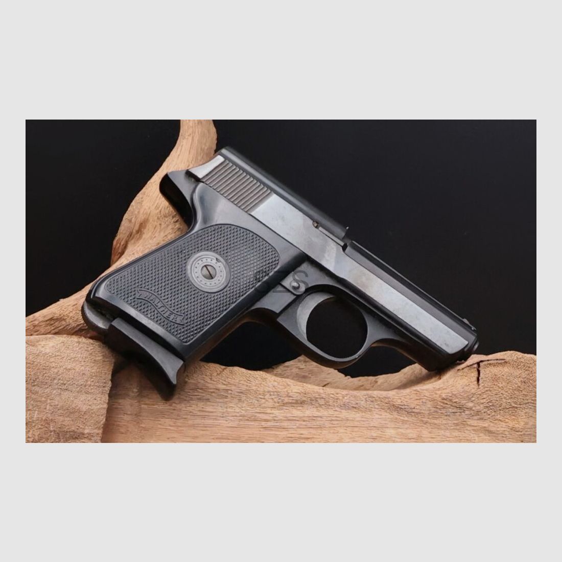 Walther TP, Bild 1 von 3