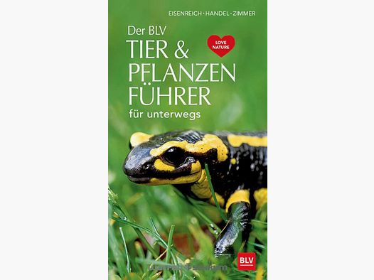 Gräfe & Unzer Eisenreich- BLV - Animal & Plant Ute E. Zimmer