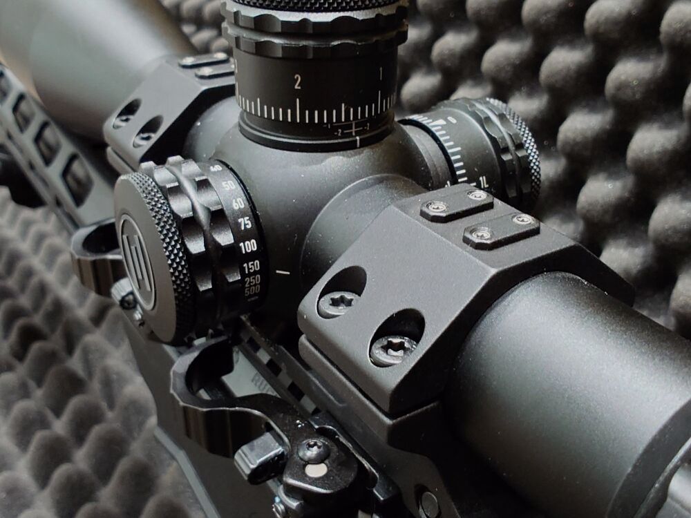 Ruger Precision Rimfire