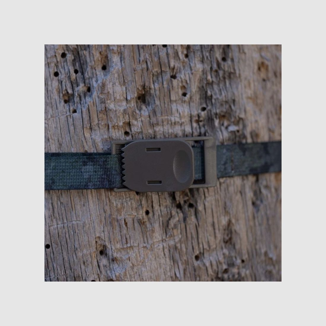 Zeiss tree strap (2x) for Secacam wildlife camera