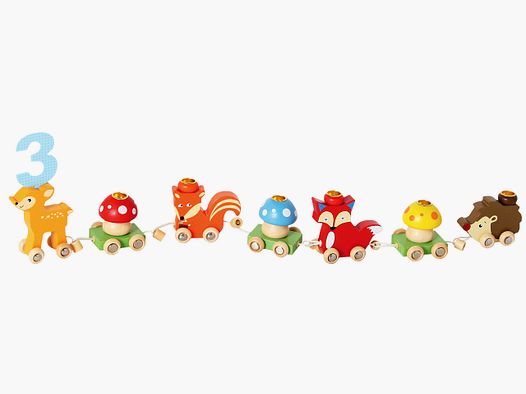 Birthday train forest animals