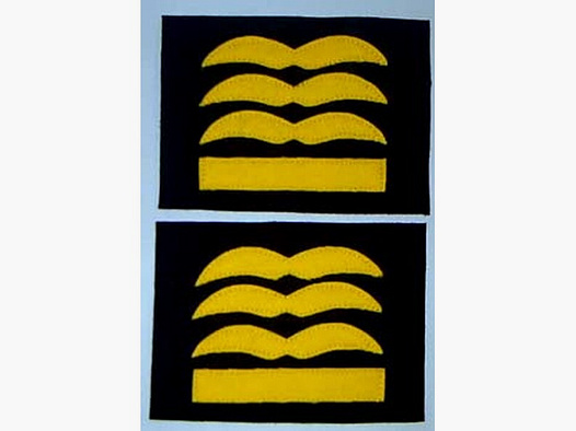 Dienstgardabz. General der Fallschirmjäger/ Flieger